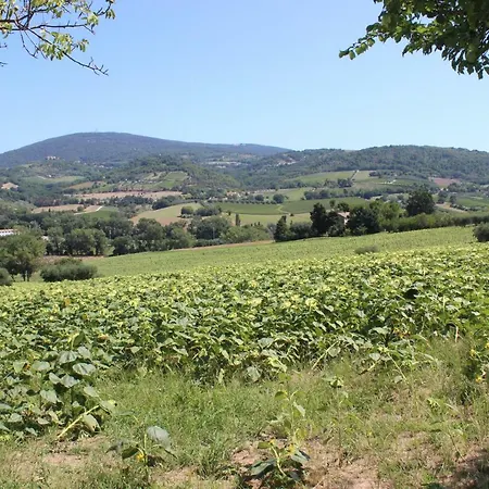 Apartament Guarda Conero Camerano