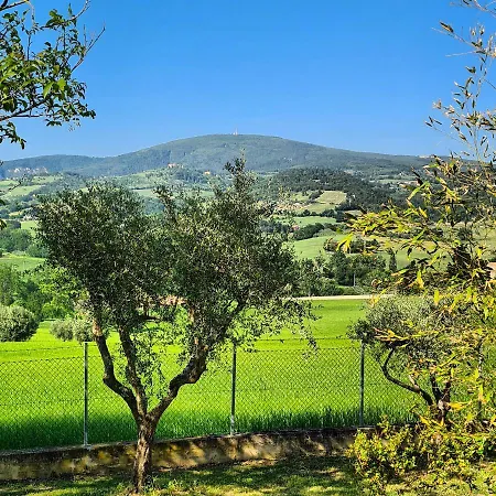 Guarda Conero Camerano